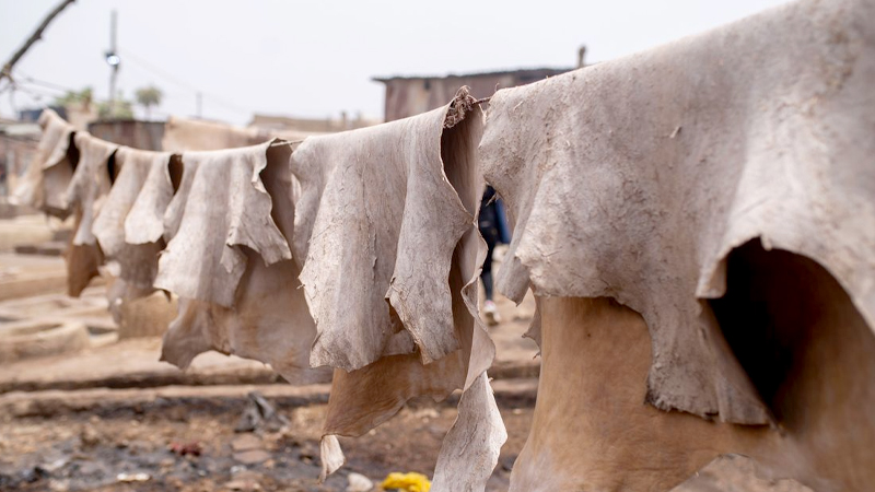 Insurance is the Solution for the Vulnerable Tannery Industry